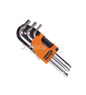 Bộ lục giác bi xi bóng 9 chi tiết Asaki AK-0193
