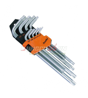 Bộ lục giác bông dài xi mờ 9 chi tiết Asaki AK-0413