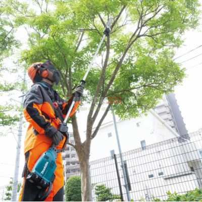 Máy cưa cành trên cao dùng pin 18V Makita DUA300ZB