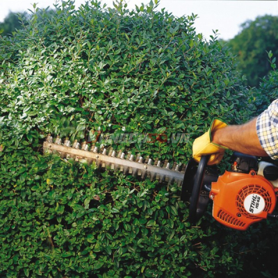 Máy tỉa hàng rào chạy xăng Stihl HS 45