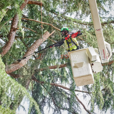 Máy Cưa Cành Dùng Pin Milwaukee M18 FTPS30-0