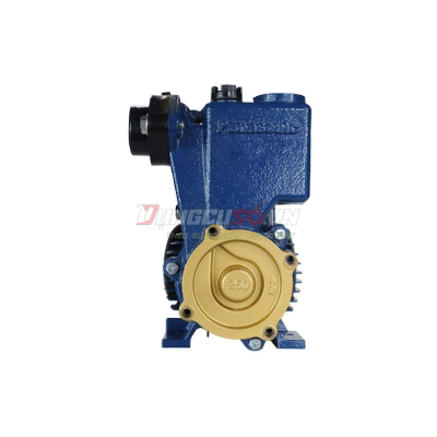 Máy bơm nước đẩy cao 250W Panasonic GP-250JXK-SV5
