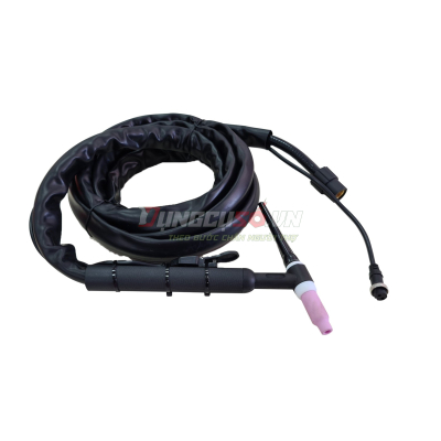 MÁY HÀN TIG LẠNH MODEL TIG 300 W229- JASIC